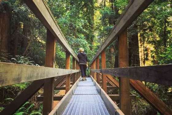 Wooden boardwalk bridge over Redwood Creek in Muir Woods National Monument
